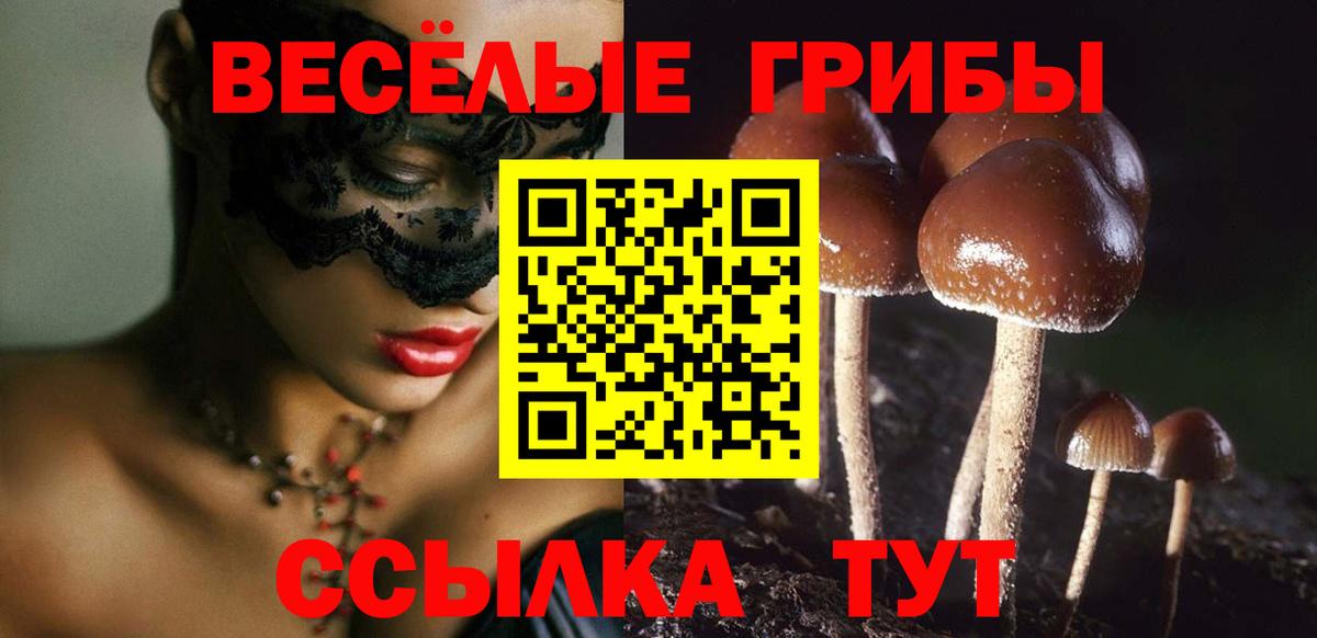 Псилоцибиновые грибы прущие грибы Минусинск